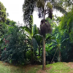 Appartement La Nature, Au Cap