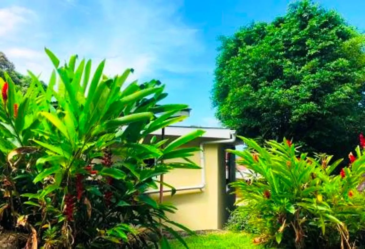 The Reef Palm Apartment Anse aux Pins